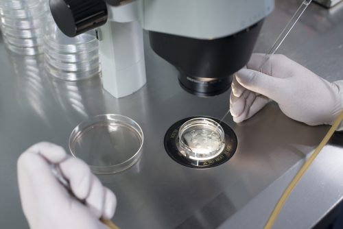 Витрификация яйцеклеток пациентов, страдающих онкологическими заболеваниями